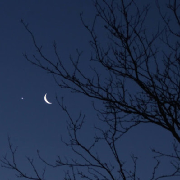 Meet your Posher, Jackson - Picture 1 of 1